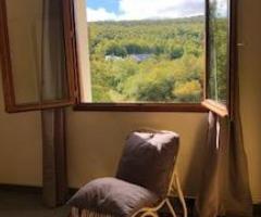 Au coeur de la forêt d'Aubrac