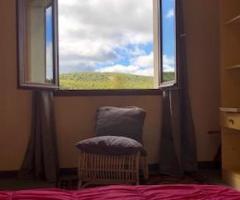 Au coeur de la forêt d'Aubrac