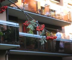 Appartement meublé curistes 2 personnes à 500m du centre Thermal