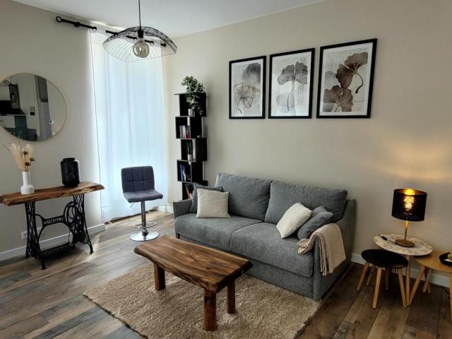 NOUVEAU SUR VICHY ! Appartement T2 cosy au coeur de la ville